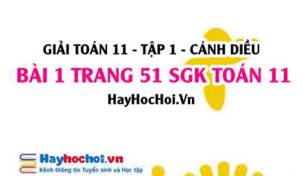 Giải bài 1 trang 51 Toán 11 tập 1 SGK Cánh Diều